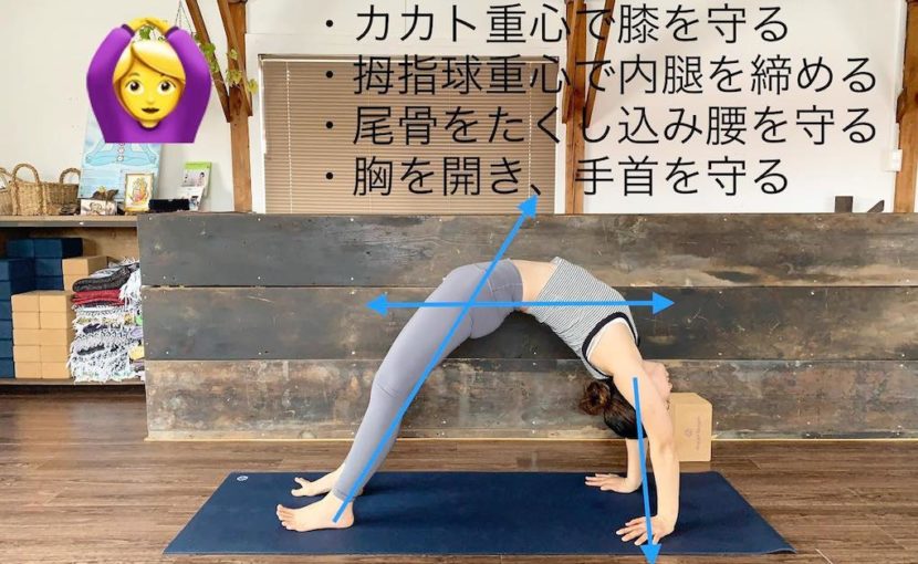 ヨガスタジオヨガシャーニーアライメント上向きの弓のポーズ安全な練習法